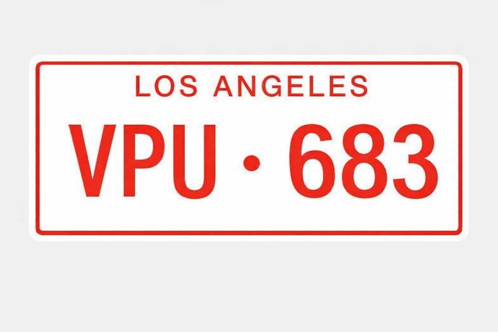 Referencia ilustrativa: placa patente tipo municipal